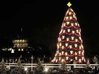 Albero di Natale addobbato: albero di Natale di Washington